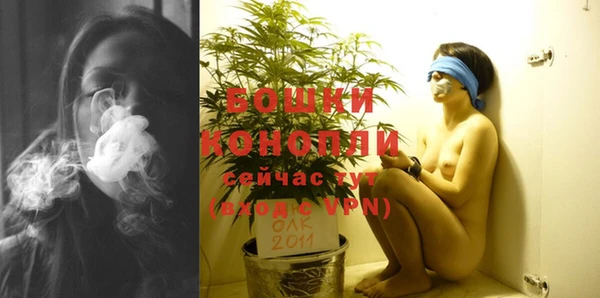 PSILOCYBIN Мегион