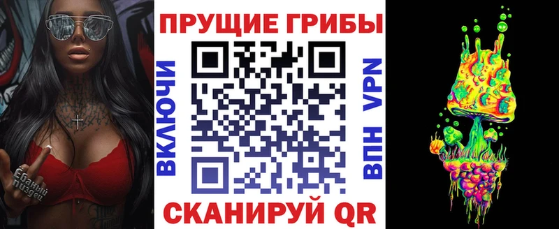 Купить  Любим  Псилоцибиновые грибы GOLDEN TEACHER 